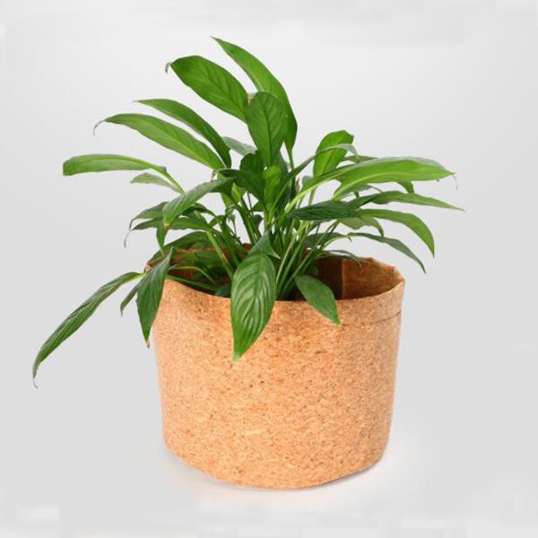 Customize Recyclable Cork Flower Pot