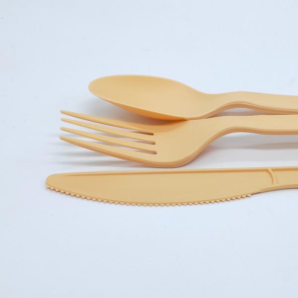 Disposable Compostable PLA Cutlery Set